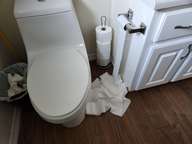 We don't know exactly who did this, but we do know it had not happened prior to Charlie's arrival. I call whoever did it the 'papertrator' of the crime.